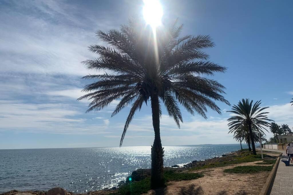 Alicante, Bord De Plage, 3 Chambres Santa Pola Ngoại thất bức ảnh